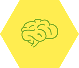 brain icon