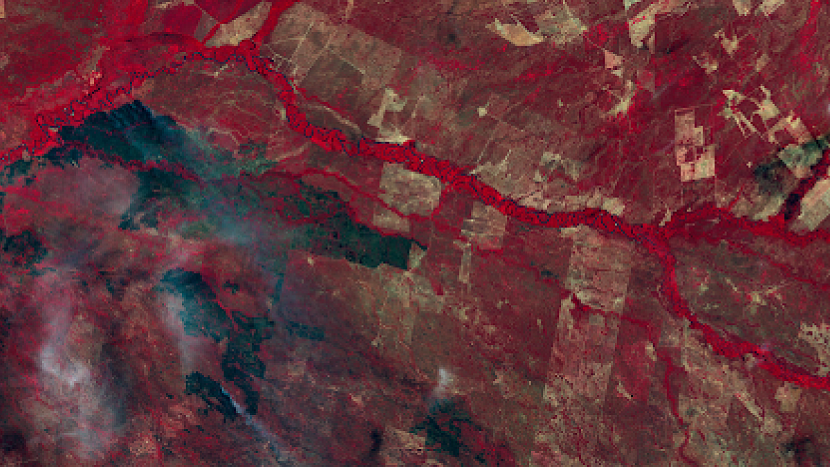 carbon flux prediction image