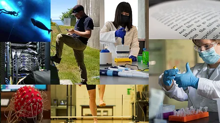 composite image of researchers conducting research in labs and out in the field
